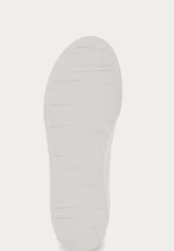 Cody Sneakers