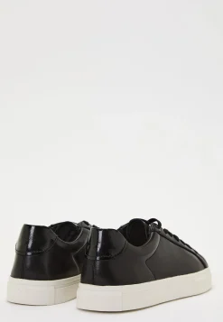 Cody Sneakers